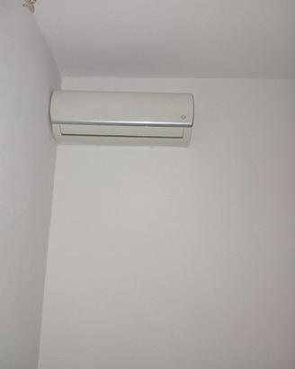 due condizionatori 