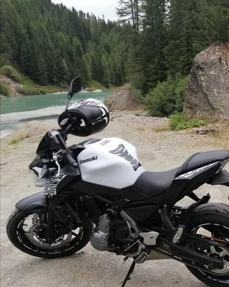 Kawasaki Z650 2019 50KW