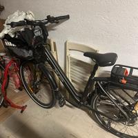 Bici elettrica XP D 9.1