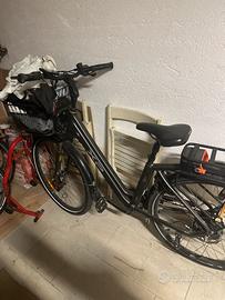 Bici elettrica XP D 9.1
