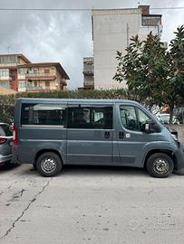 Fiar ducato panorama 9 posti  anno 2017