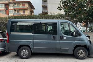 Fiar ducato panorama 9 posti  anno 2017