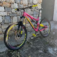 Santa cruz bronson cc tg L