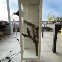 terrario/camaleontario