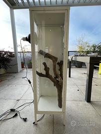 terrario/camaleontario