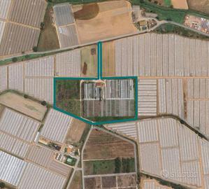 Immobile in asta di 40759 m² a Terracina