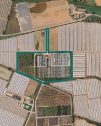 Immobile in asta di 40759 m² a Terracina