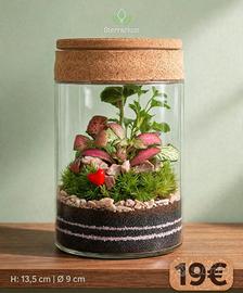 terrarium by Sterrarium 🌺 
