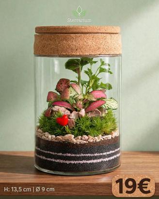 terrarium by Sterrarium 🌺 