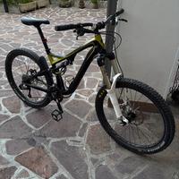Specialized stumpjumper evo 26"
