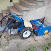 Trinciasarmenti / erba S.E.P. 226