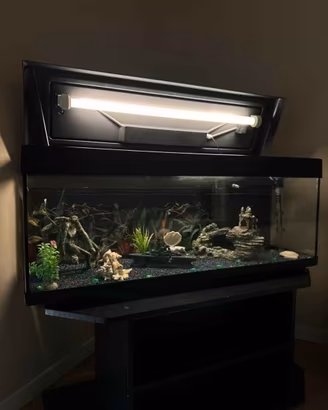 acquario nuovo