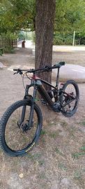 e-bike Trek 