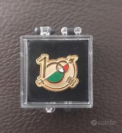 Spilla 100 anni Aeronautica Militare