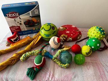 Giochi cane
