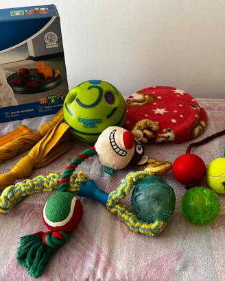 Giochi cane