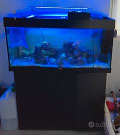 Acquario marino completo con mobile  200 litri