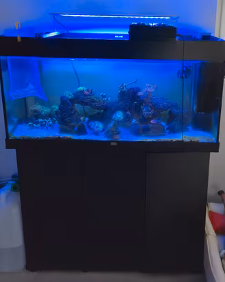 Acquario marino completo con mobile  200 litri