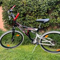 Bicicletta Lombardo 26