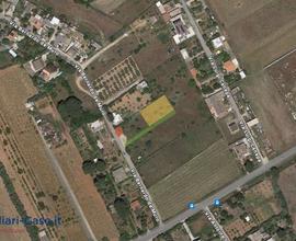 Terreno agricolo di 850mq ca