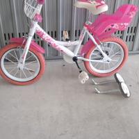 bicicletta 14