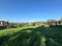 ter-agricolo-a-monterotondo