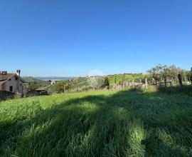 TER. AGRICOLO A MONTEROTONDO