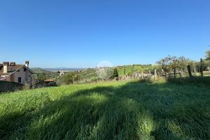 TER. AGRICOLO A MONTEROTONDO