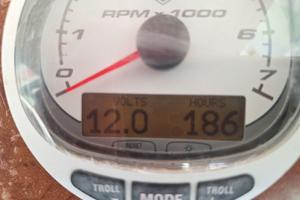 Mercury Optimax 125 HP DFI 2 Tempi – Anno 2011 –