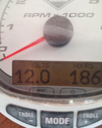 Mercury Optimax 125 HP DFI 2 Tempi – Anno 2011 –