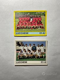 Figurine Panini Lucchese Calcio 1988/89-1989/90