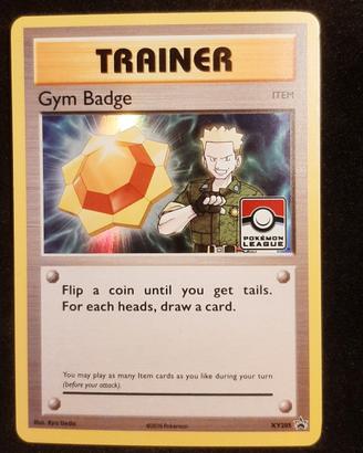 Gym badge xy205 koga