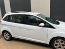ford-c-max-2-0-tdci-163cv-7-posti-cambio-automat