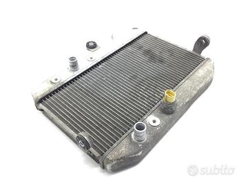 SUZUKI BURGMAN AN 400 RADIATORE LIQUIDO ACQUA RAFF