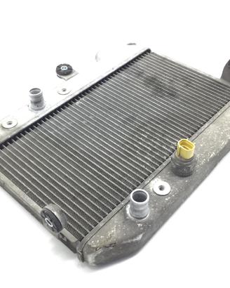 SUZUKI BURGMAN AN 400 RADIATORE LIQUIDO ACQUA RAFF