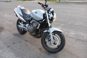 Honda Hornet