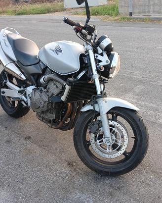 Honda Hornet