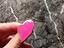Immagine 6