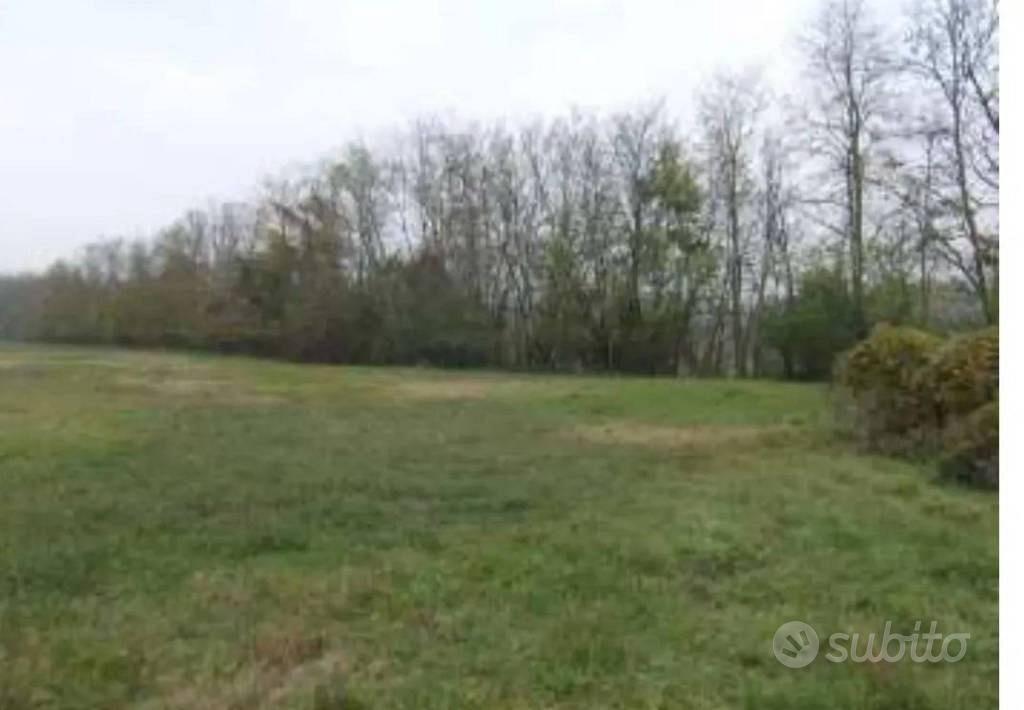 Immobile in asta di 7222 m² a Rivanazzano Terme - Vista 5