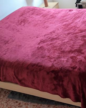 CAMERETTA DA LETTO IN FRASSINO + 2 RETI SINGOLE