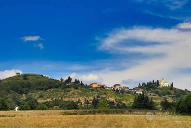 Agriturismo con vigna - Parco di Montevecchia