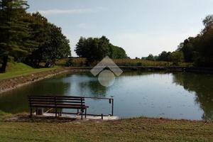 TER. AGRICOLO A SUNO