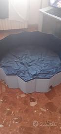  piscina per cani
