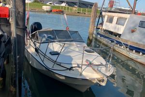 Boston wahler 25 revenge