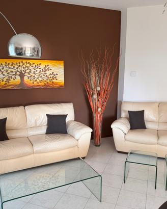 Coppia divani in Pelle by Natuzzi