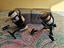 Immagine 1