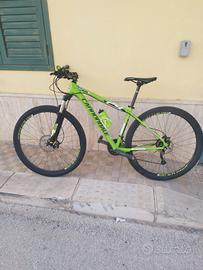 cannondale 29