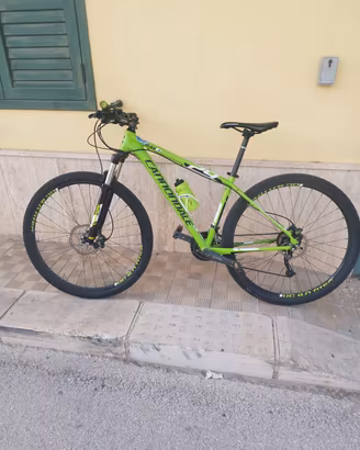 cannondale 29