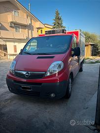 Furgone con cassone refrigerato