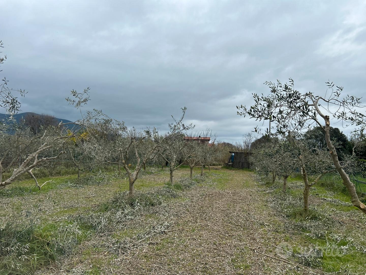 Terreno a Castiglione della Pescaia luce e acqua - Vista 4